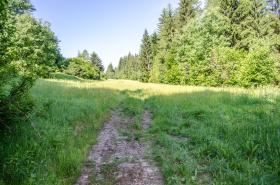 Pozemok na chatu, /1590m2/, Čadca - Raková